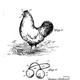 Illustration for article titled Thousands Of Chickens Once Wore Glasses To Stop Them Killing Each Other